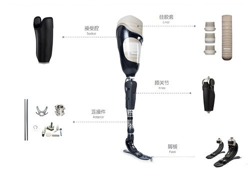 下肢假肢结构图解介绍